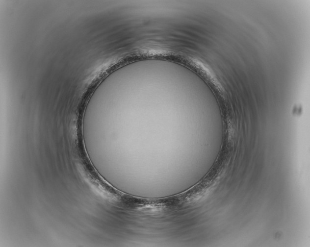 X0000093610447200711051222