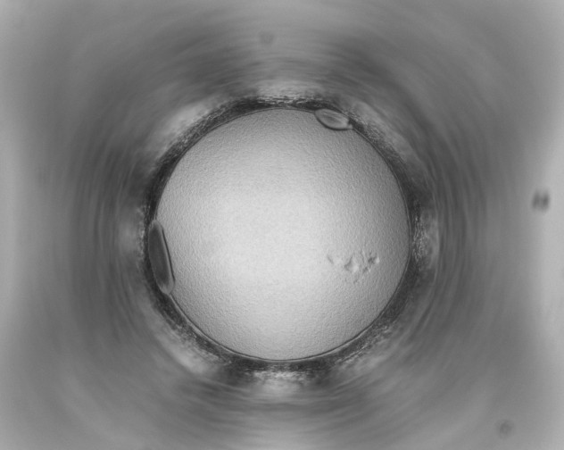 X0000093610448200711051222