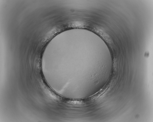 X0000093610449200711051222