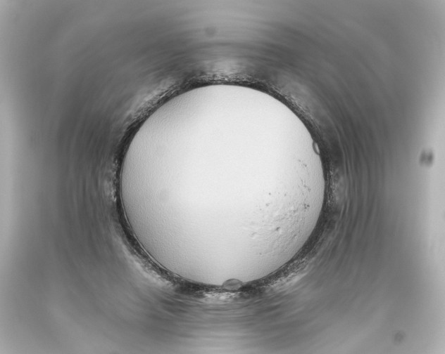 X0000093610450200711051222