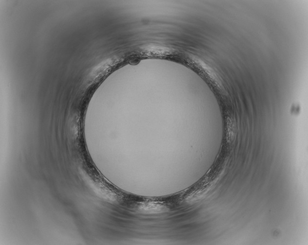 X0000093610451200711051222