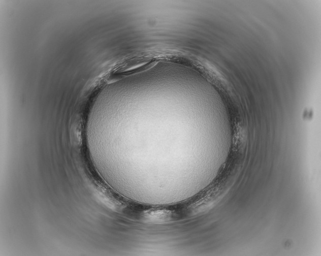 X0000093610452200711051222