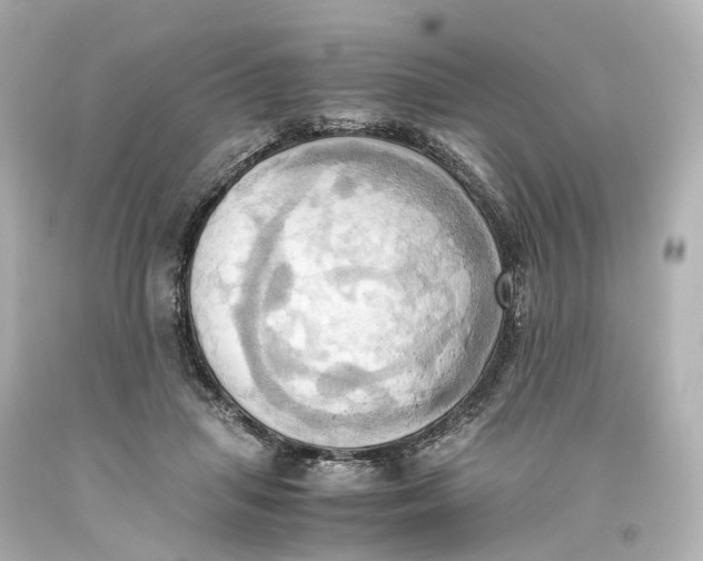X0000093610455200711051222