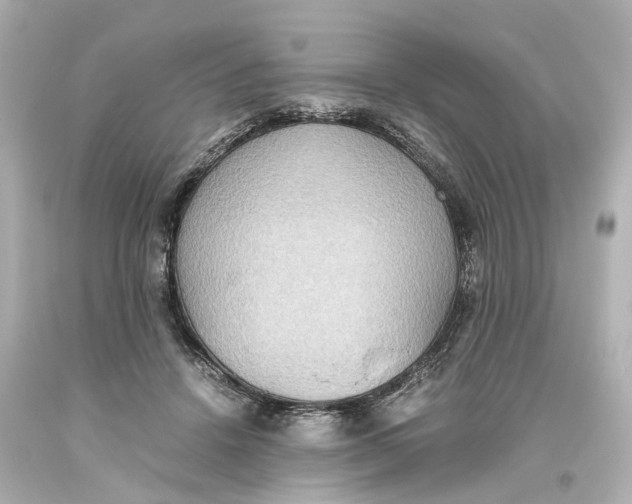 X0000093610456200711051222