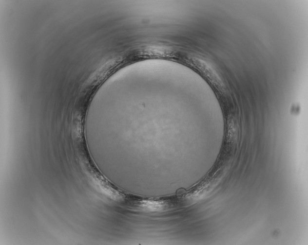 X0000093610457200711051222