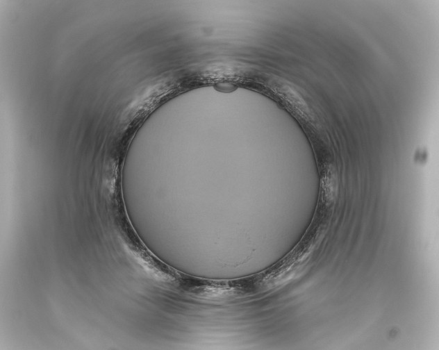 X0000093610458200711051222
