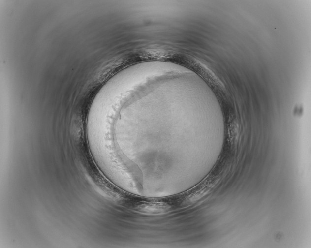 X0000093610459200711051222