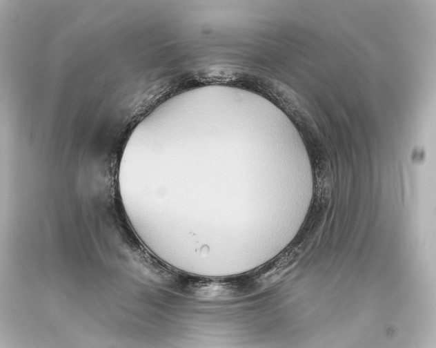 X0000093610460200711051222