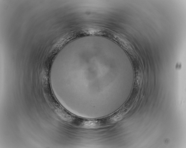 X0000093610461200711051222