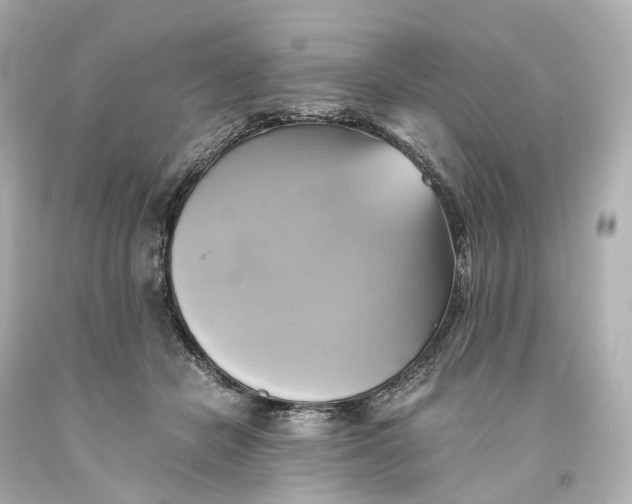 X0000093610462200711051222