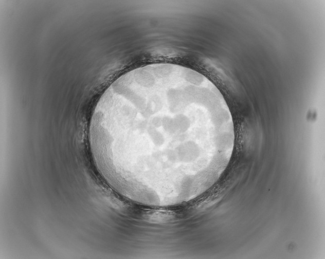 X0000093610463200711051222