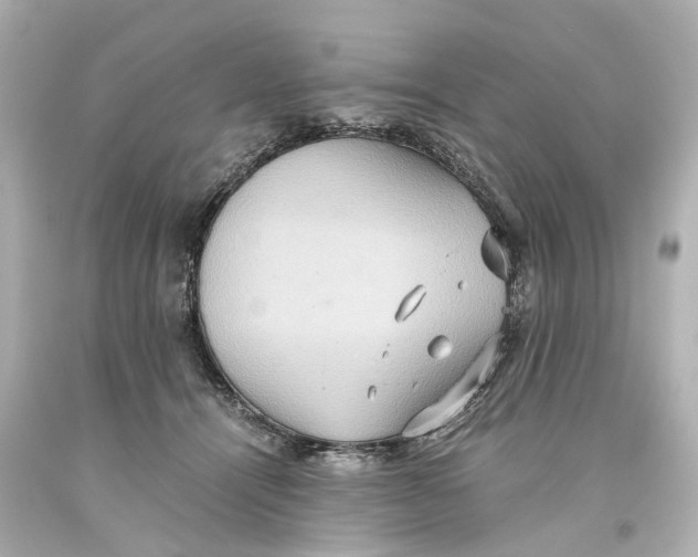 X0000093610464200711051222