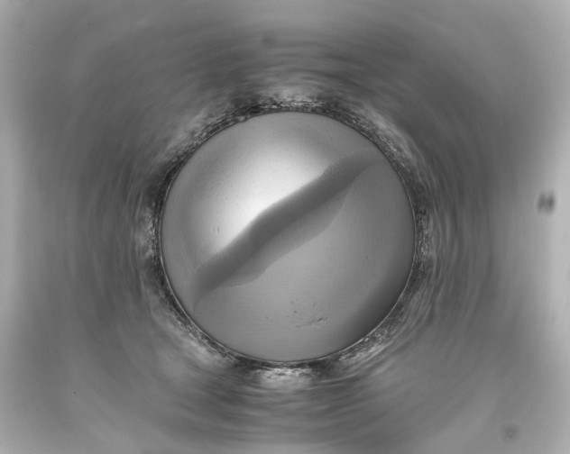 X0000093610465200711051222