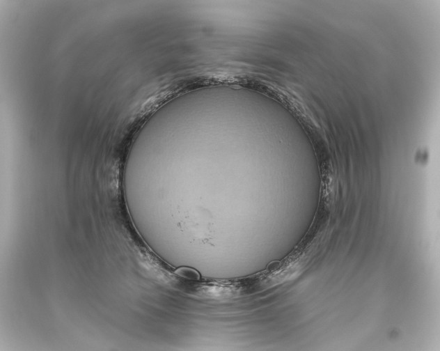 X0000093610466200711051222