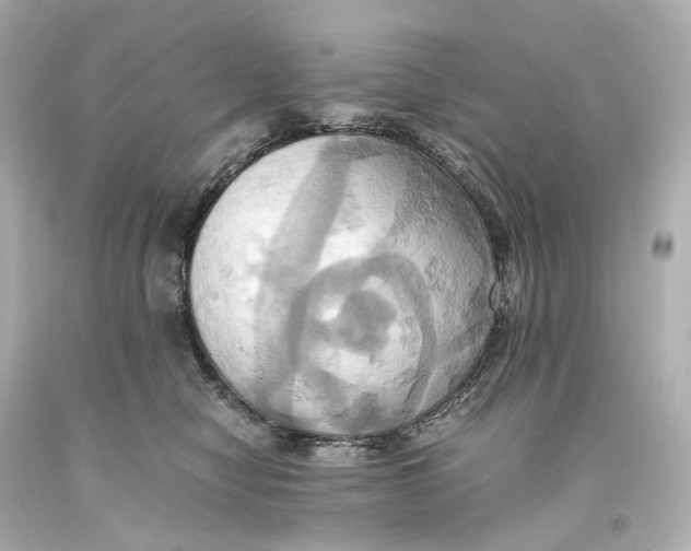 X0000093610470200711051223