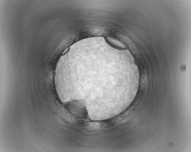 X0000093610473200711051223