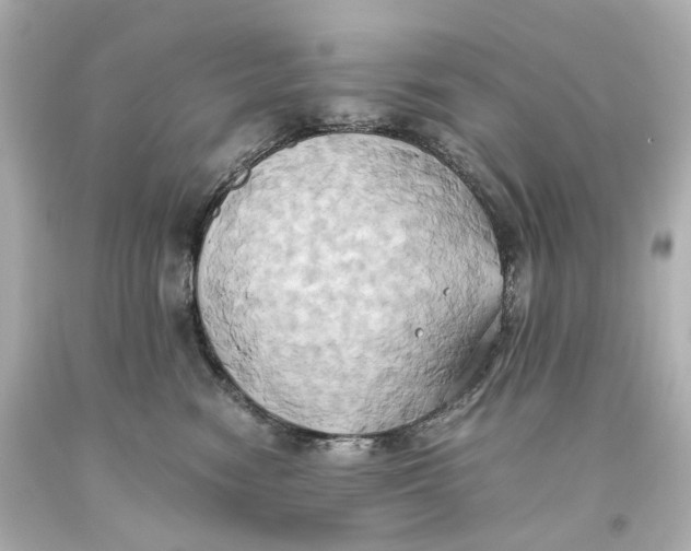 X0000093610474200711051223