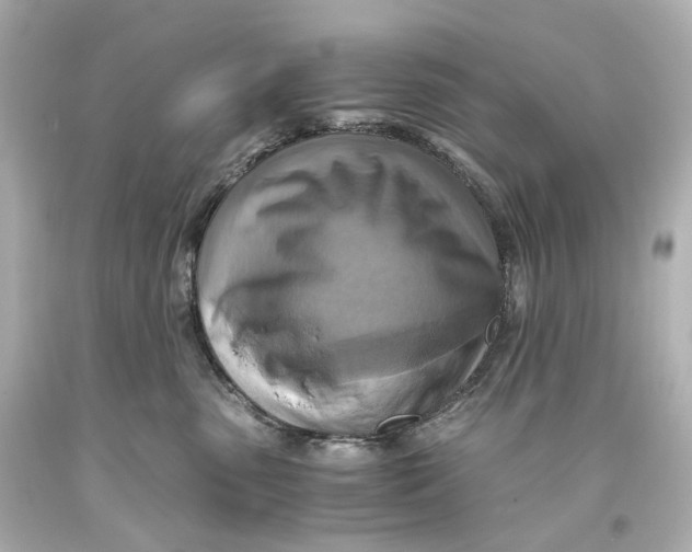 X0000093610475200711051223