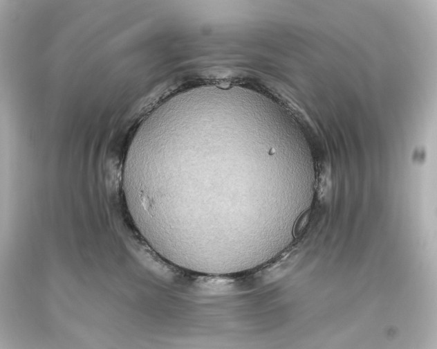 X0000093610476200711051223
