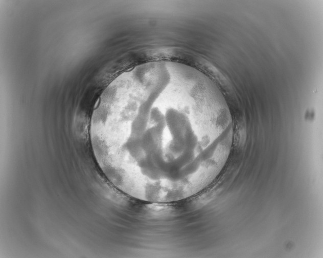 X0000093610477200711051223
