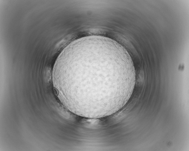 X0000093610478200711051223