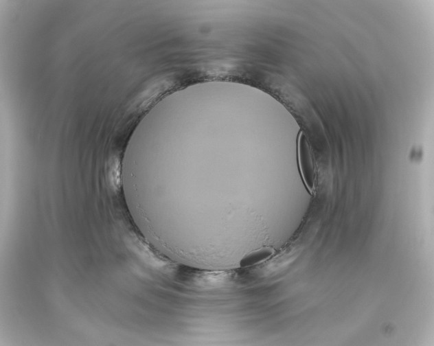 X0000093610479200711051223