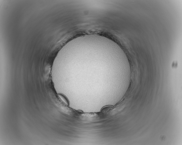 X0000093610480200711051223