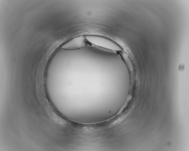 X0000093610481200711051222