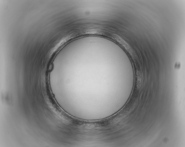 X0000093610482200711051222