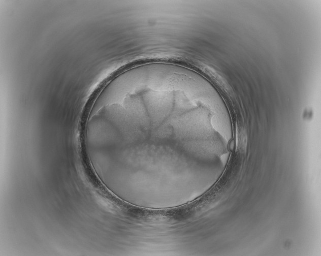 X0000093610483200711051222