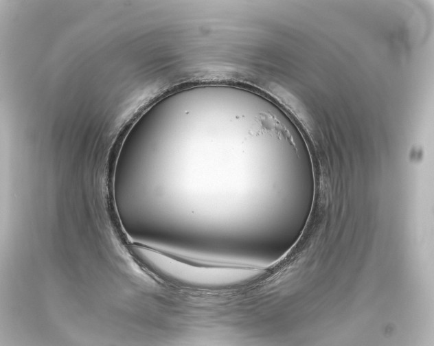X0000093610485200711051222