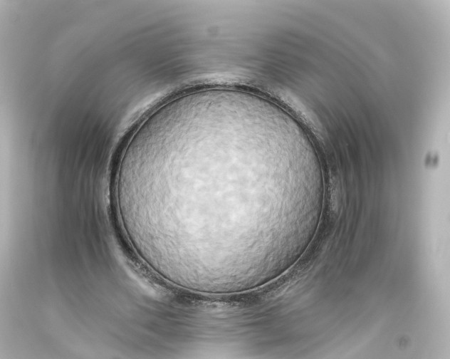 X0000093610486200711051222