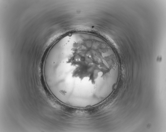 X0000093610487200711051222