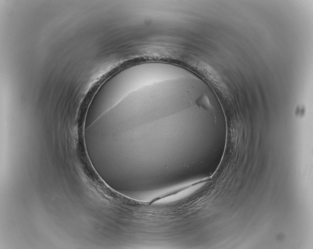 X0000093610488200711051222