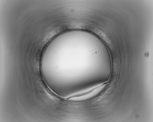 X0000093610489200711051222