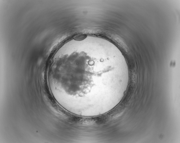 X0000093610491200711051222