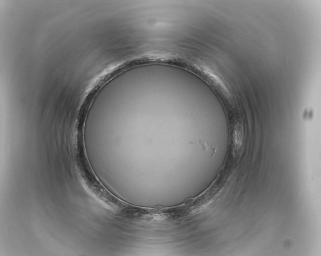 X0000093610492200711051222