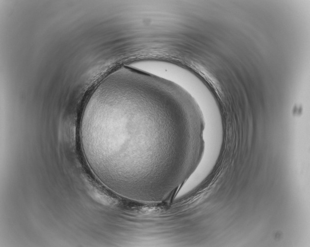 X0000093610493200711051222