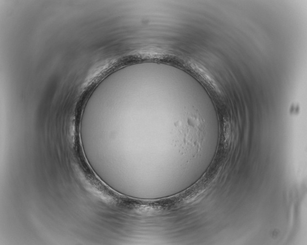 X0000093610494200711051222