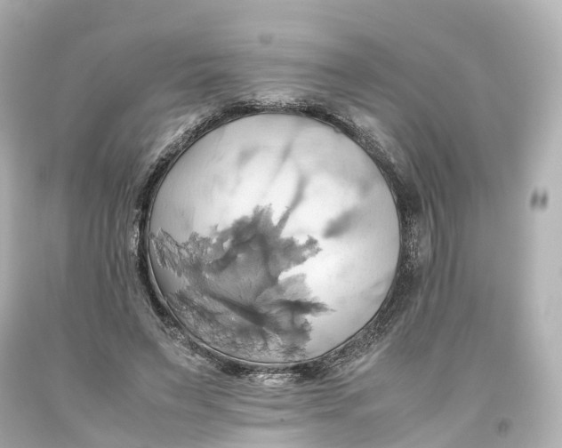 X0000093610495200711051222