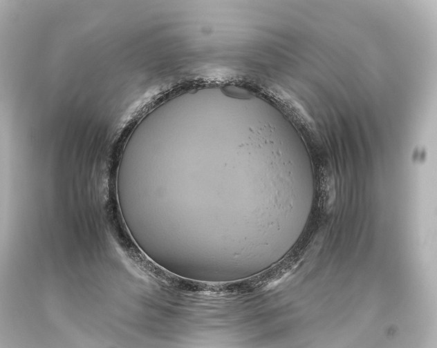 X0000093610496200711051222