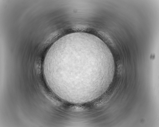 X0000093610498200711051222