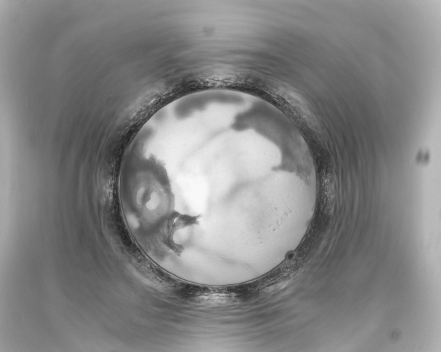X0000093610499200711051222