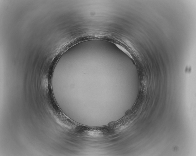 X0000093610500200711051222