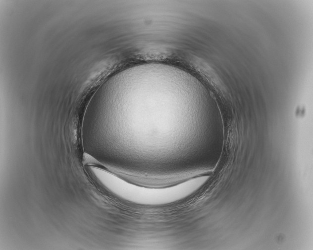 X0000093610501200711051222