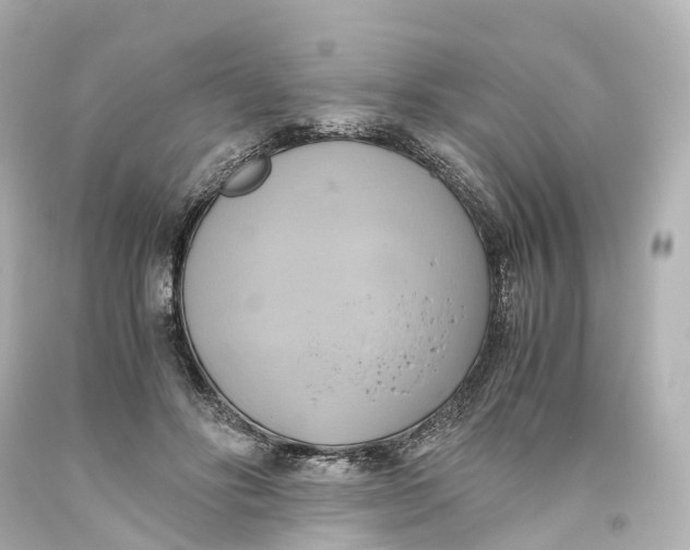 X0000093610502200711051222