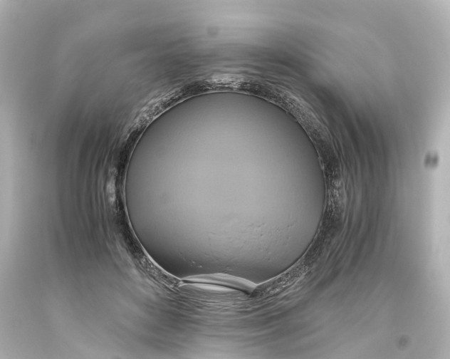 X0000093610504200711051222