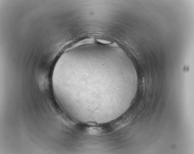 X0000093610508200711051222