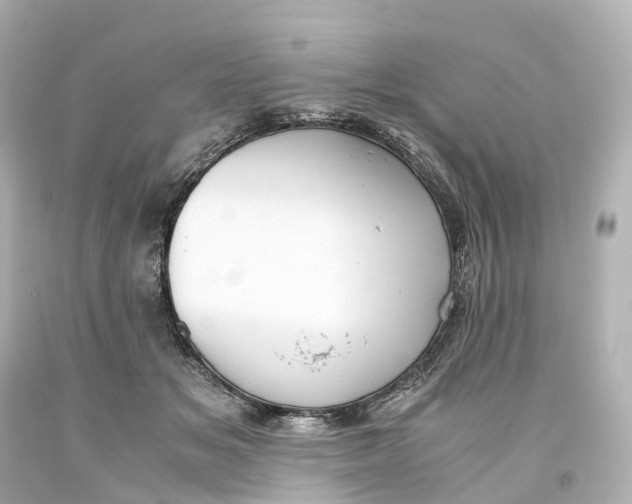 X0000093610509200711051222