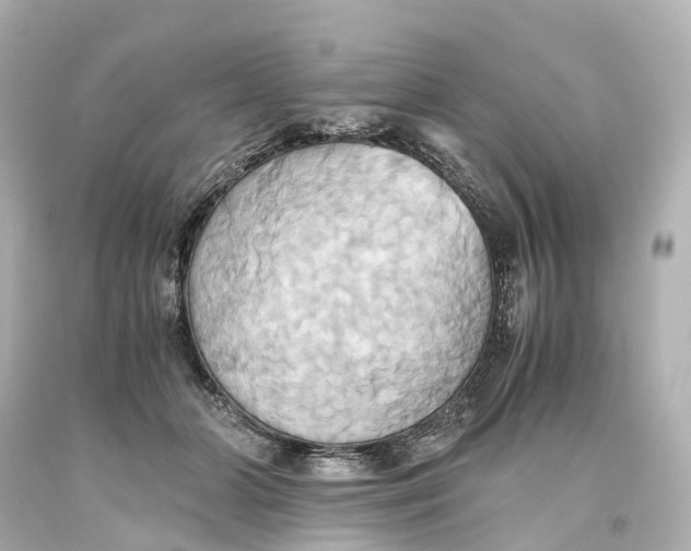 X0000093610510200711051222